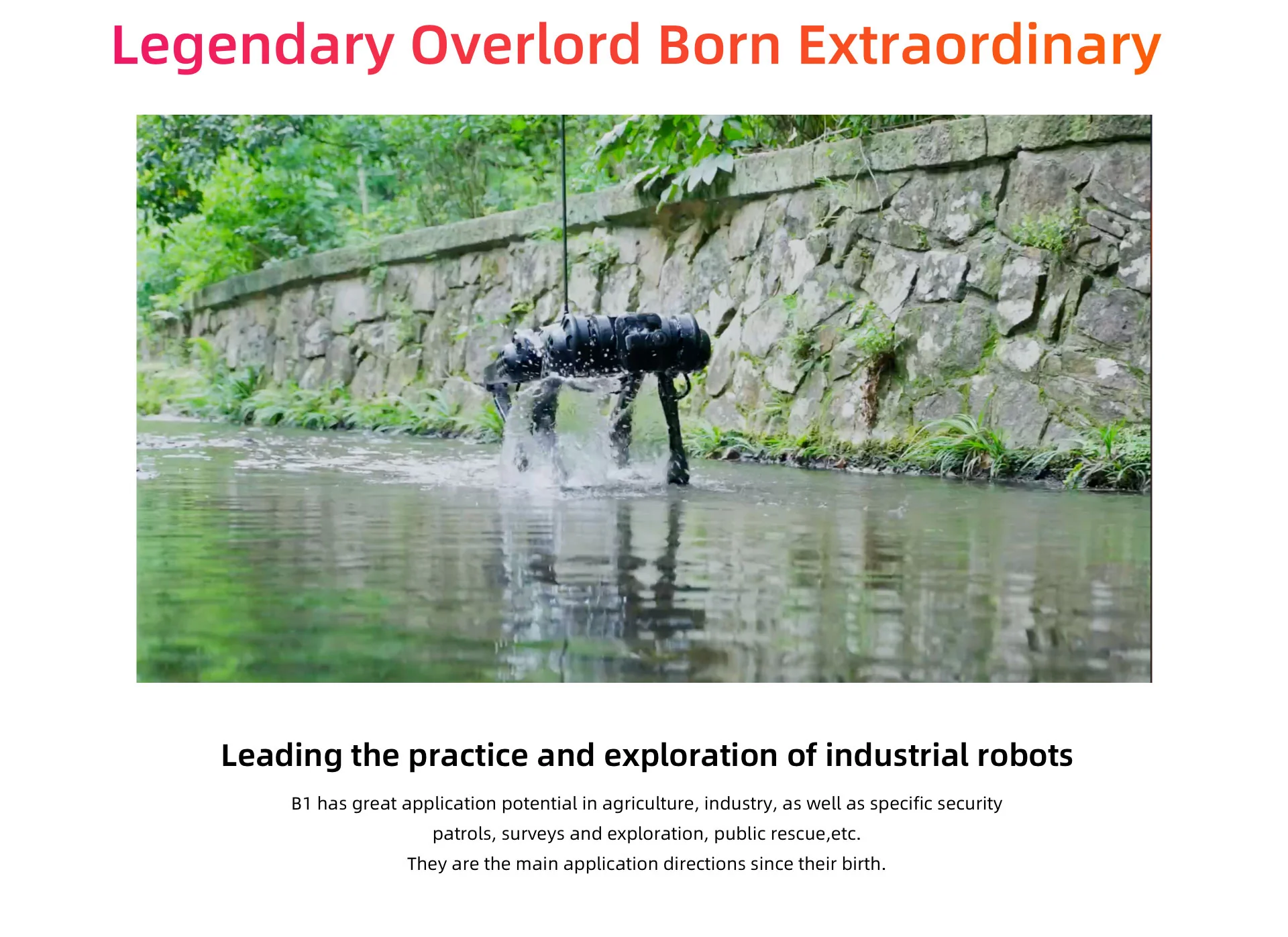 IP68 Waterproof Robot