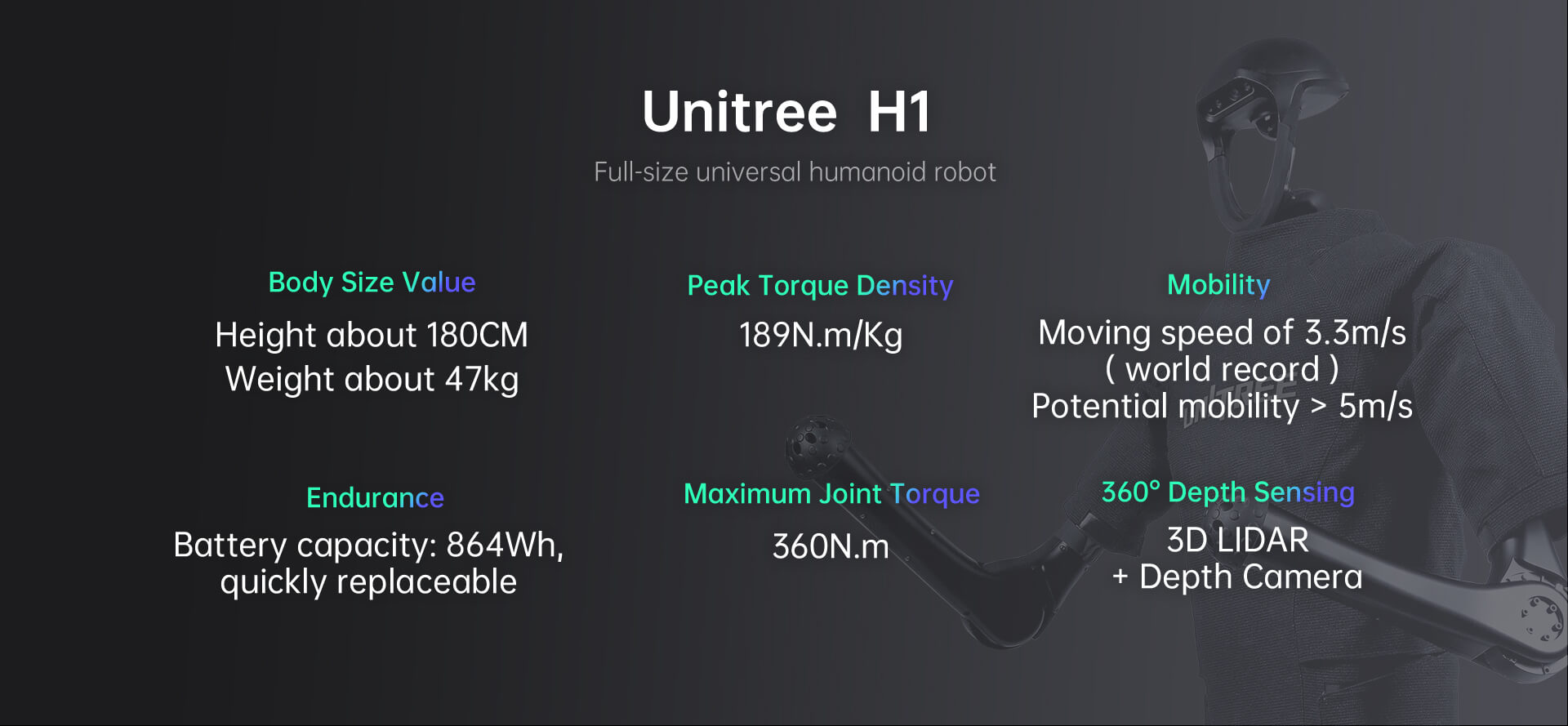 Humanoid Robot