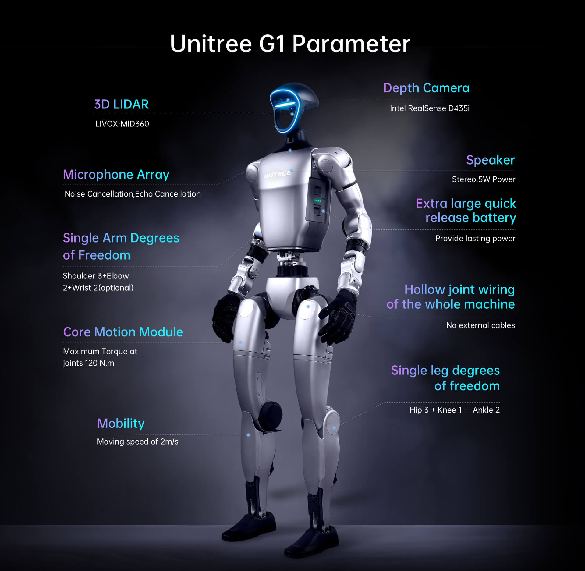 Humanoid Robot