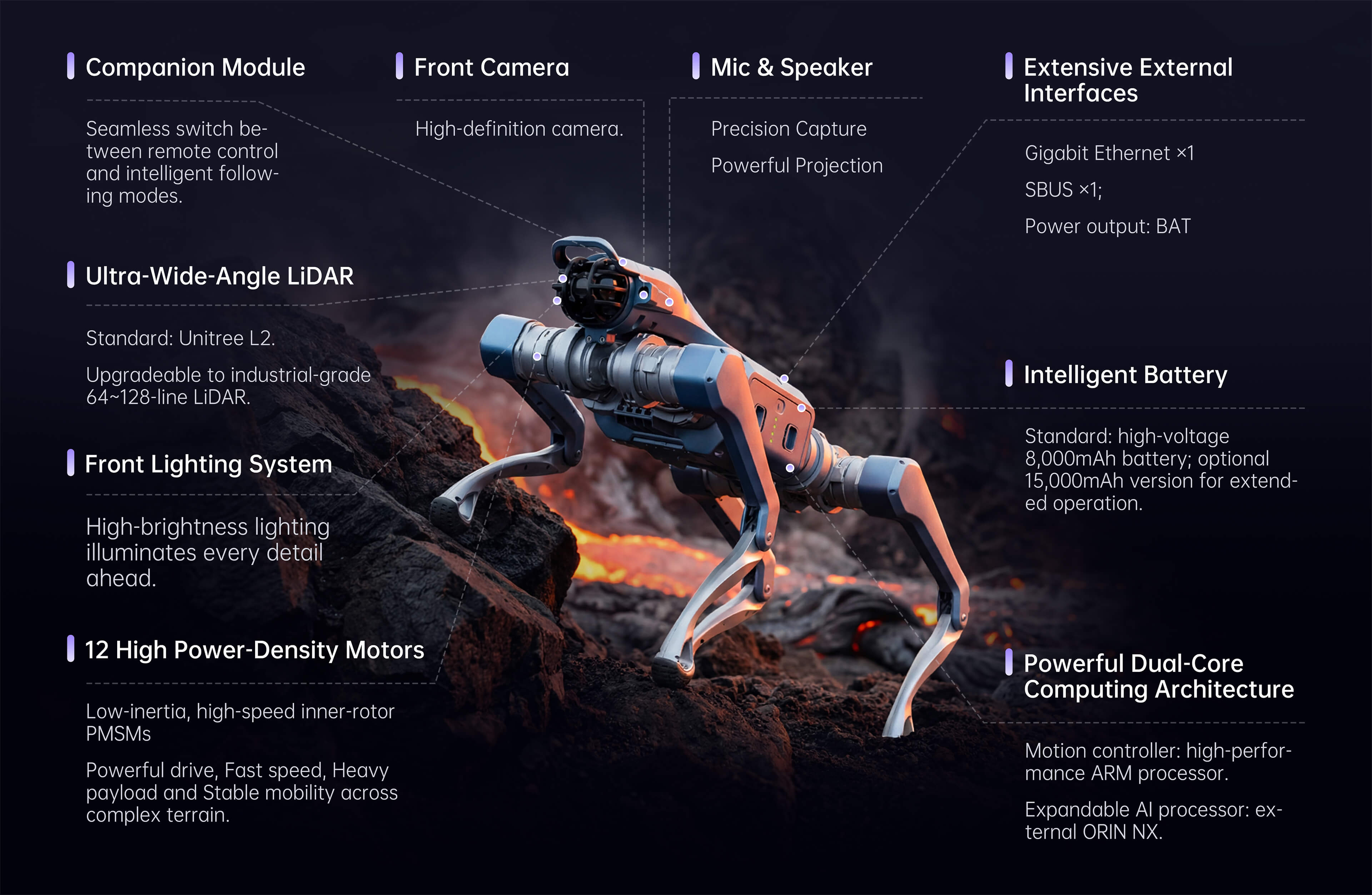 Quadruped Robot